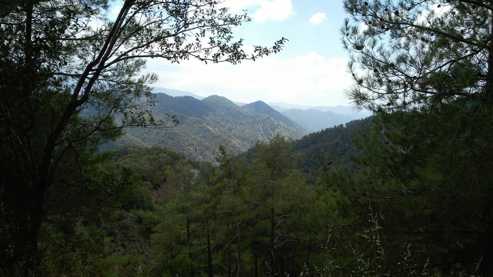 Skog och berg i Troodos